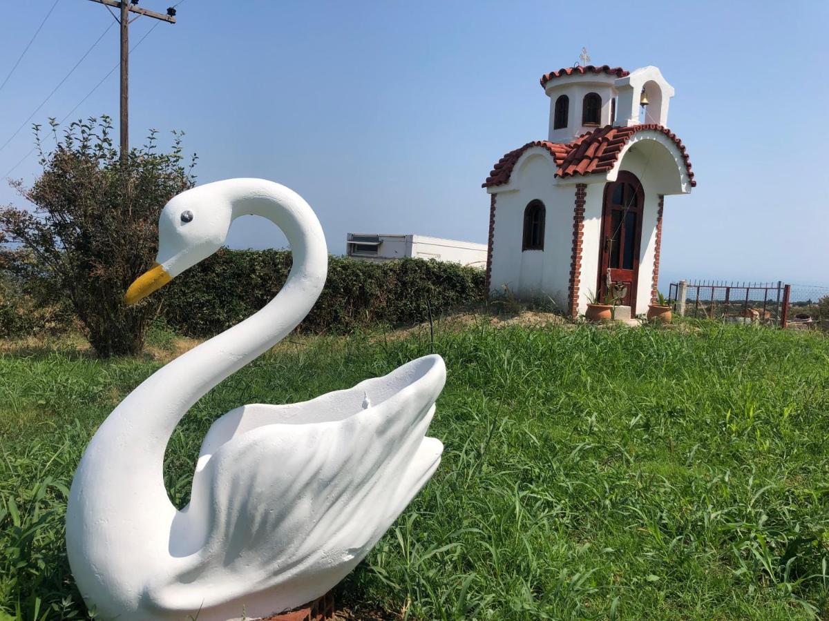 Aelia's Panoramic View Litochoro