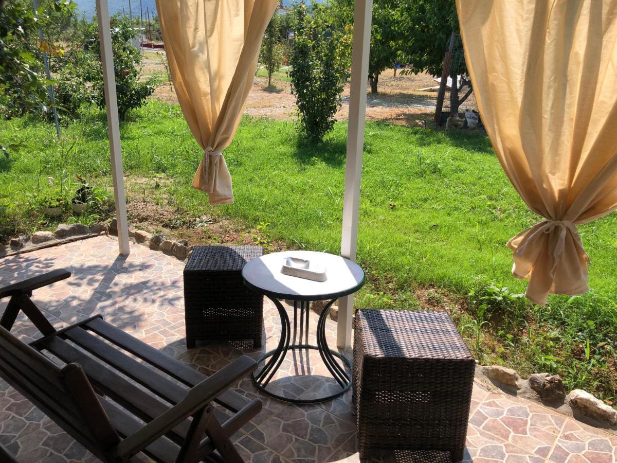 Aelia's Panoramic View * Litochoro